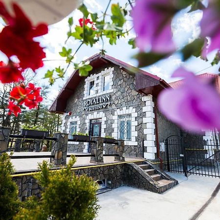 Royal Inn Busteni-Adults Only Exterior foto