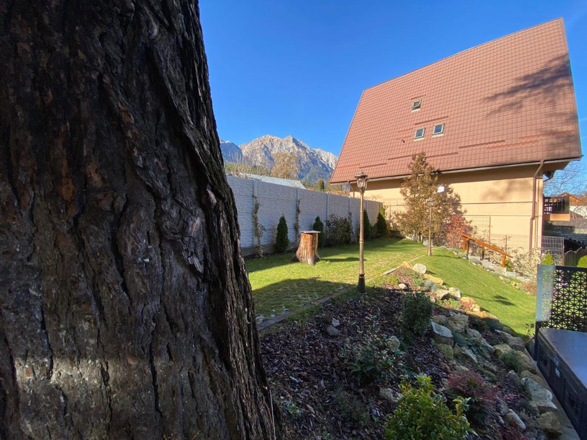 Royal Inn Busteni-Adults Only Exterior foto